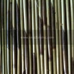 View Reed Ceiling Board